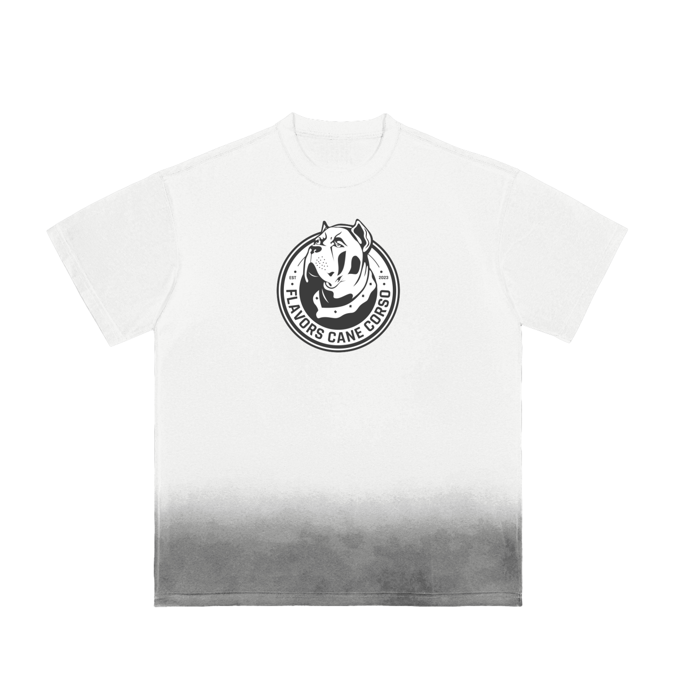 Sunfade Vintage Washed T-Shirt