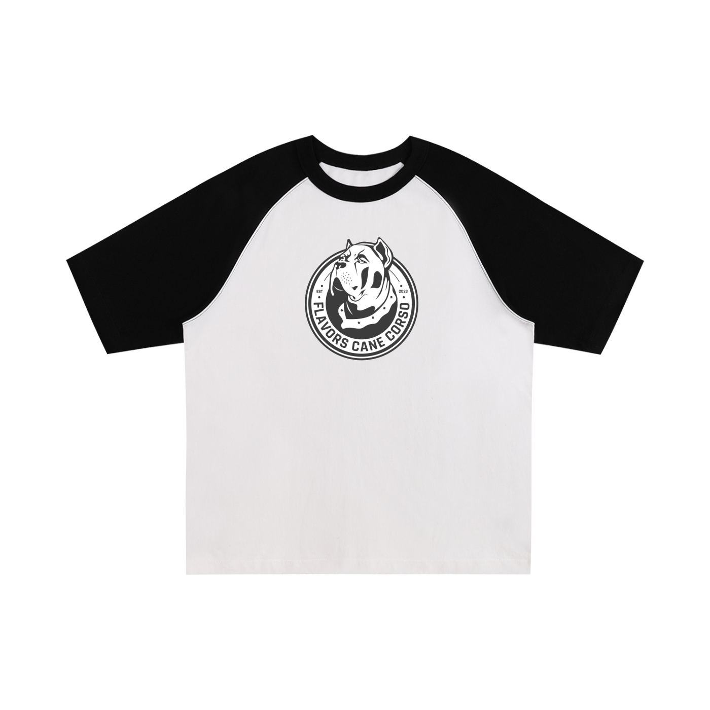 Color-Blocked Raglan Sleeve T-Shirt