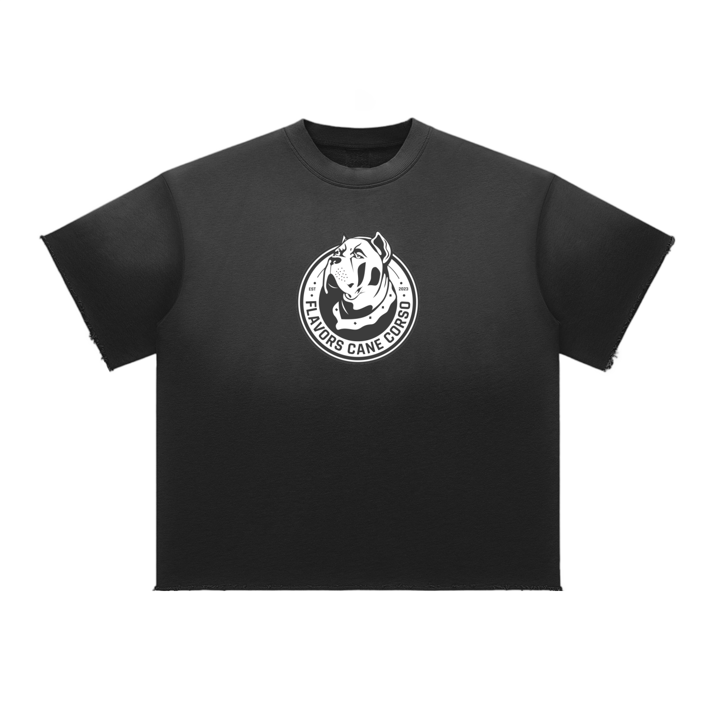 Sun Fade Raw Edge T-Shirt