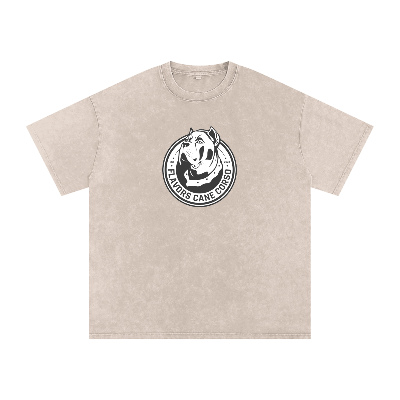 Snow Washed Oversized Cotton T-Shirt