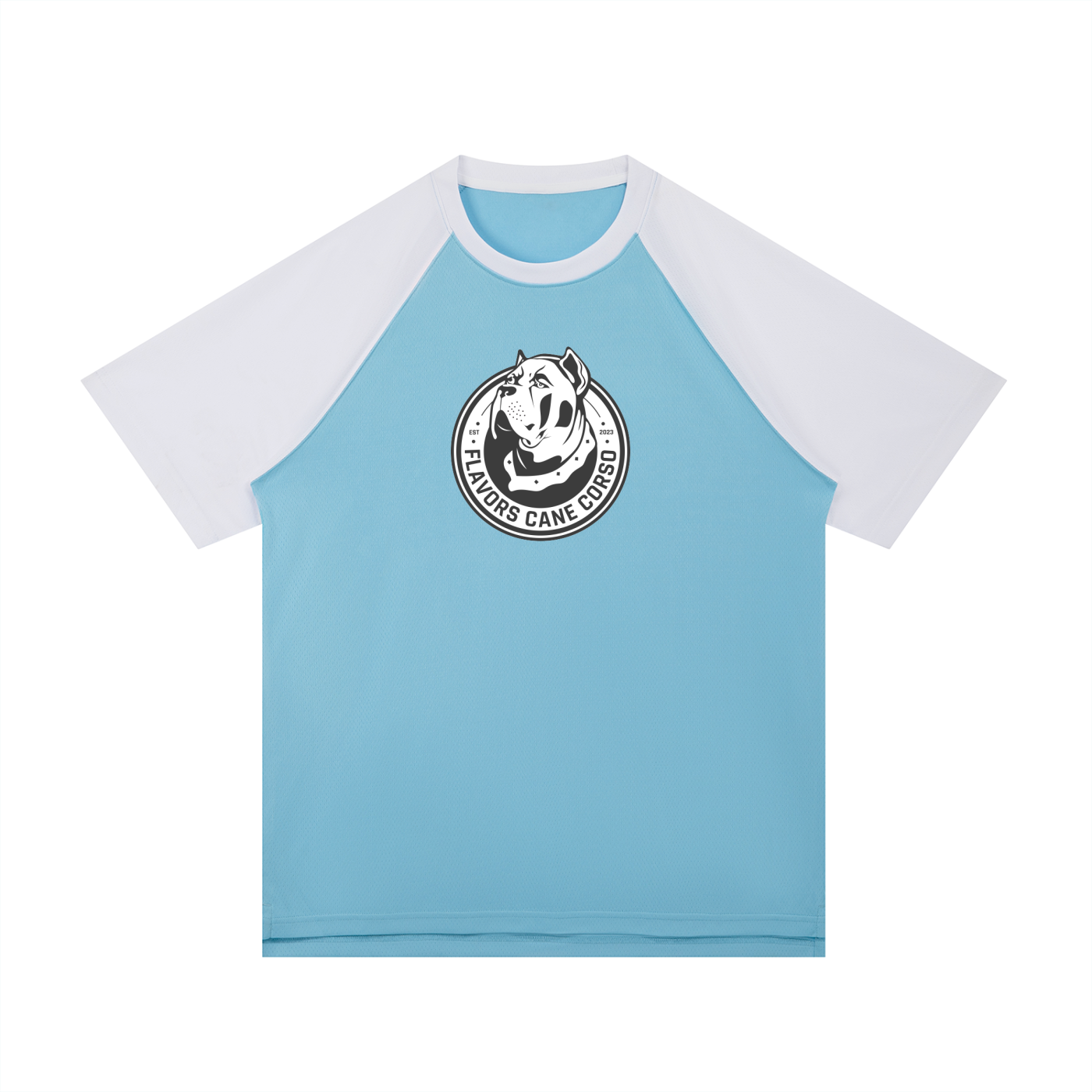 Contrast Raglan Sleeve Mesh T-Shirt