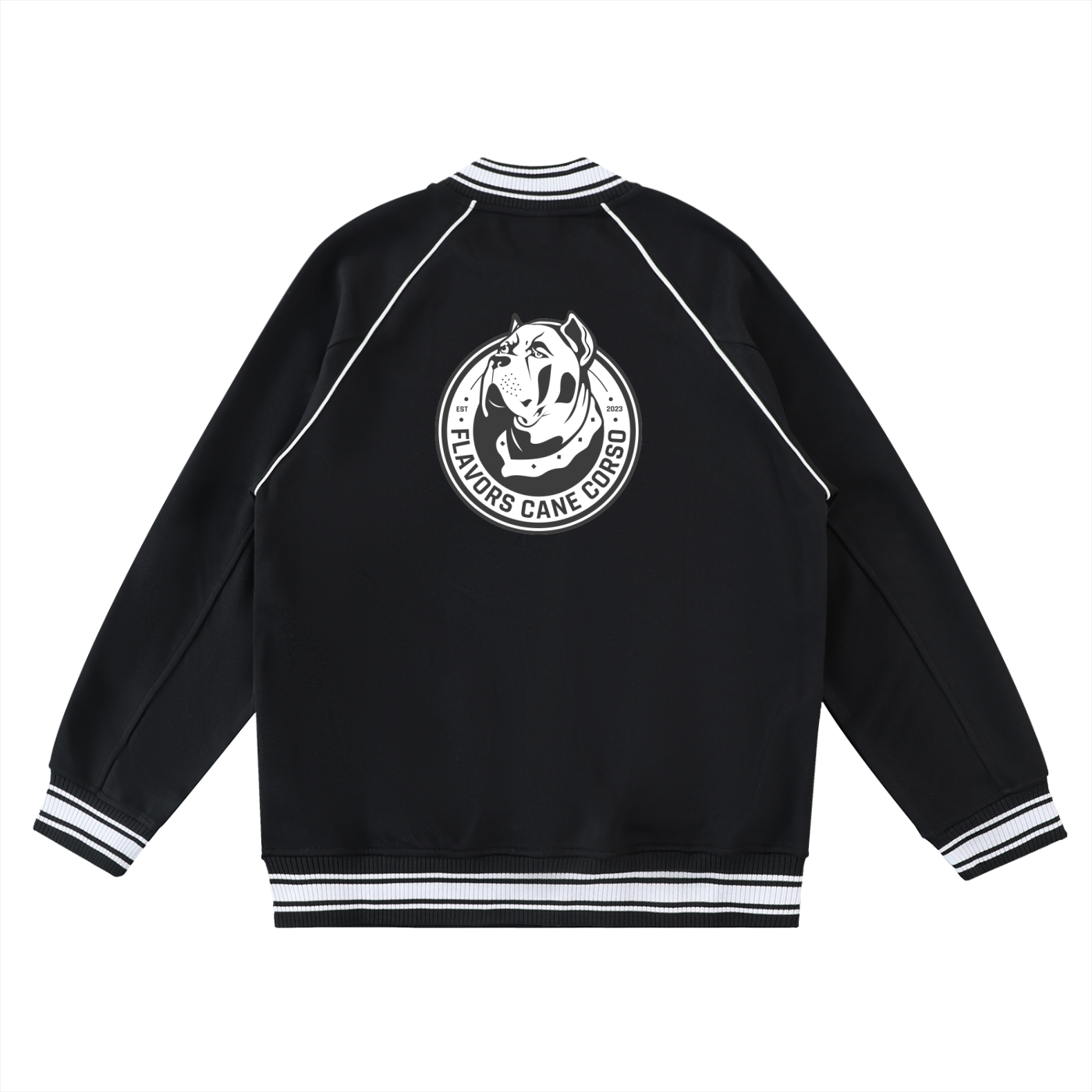 Contrast Trim Raglan Varsity Jacket