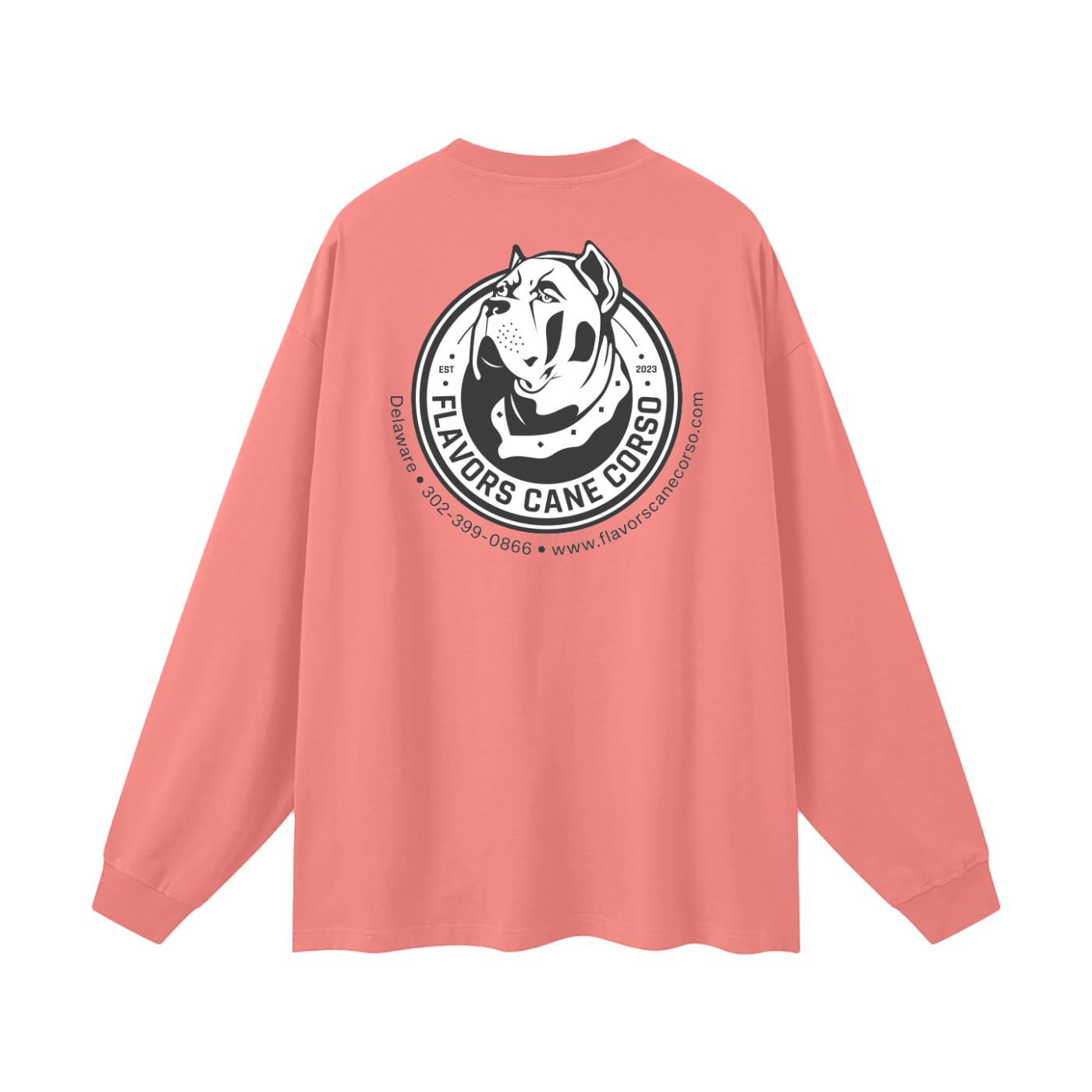 Oversized Unisex Long Sleeve T-Shirt