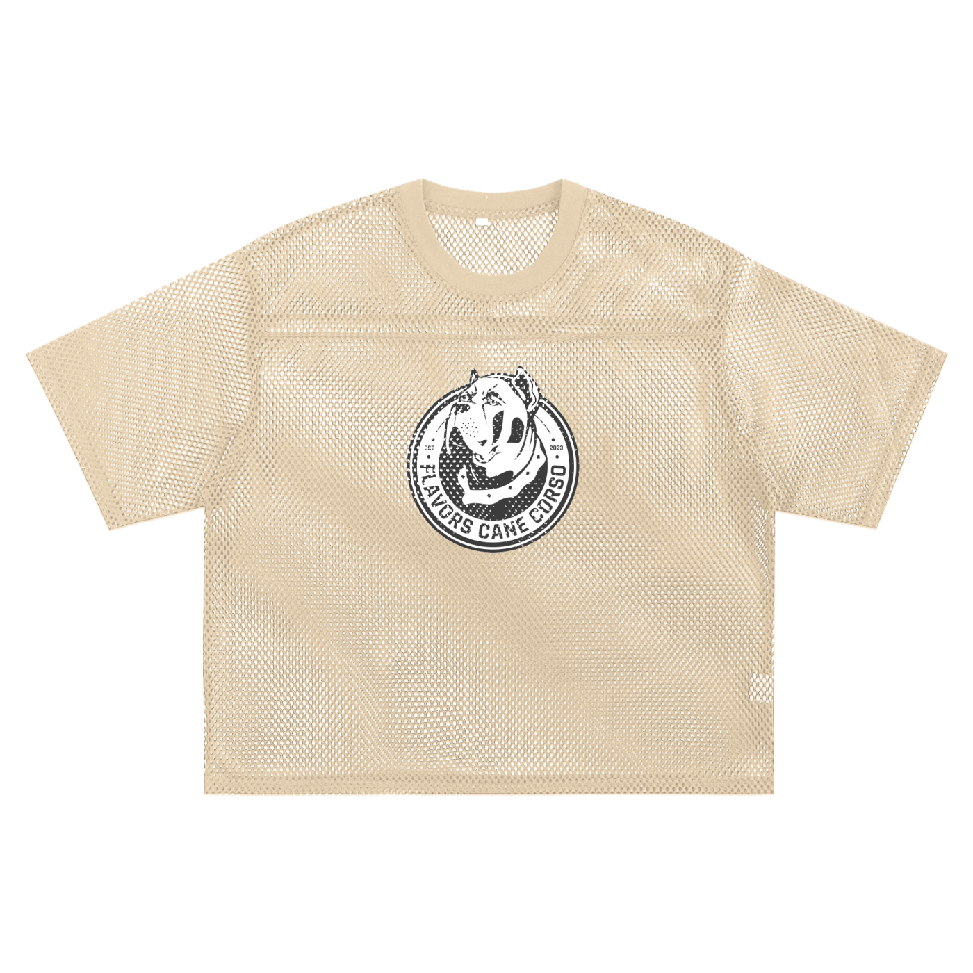 See-through Boxy Net T-Shirt