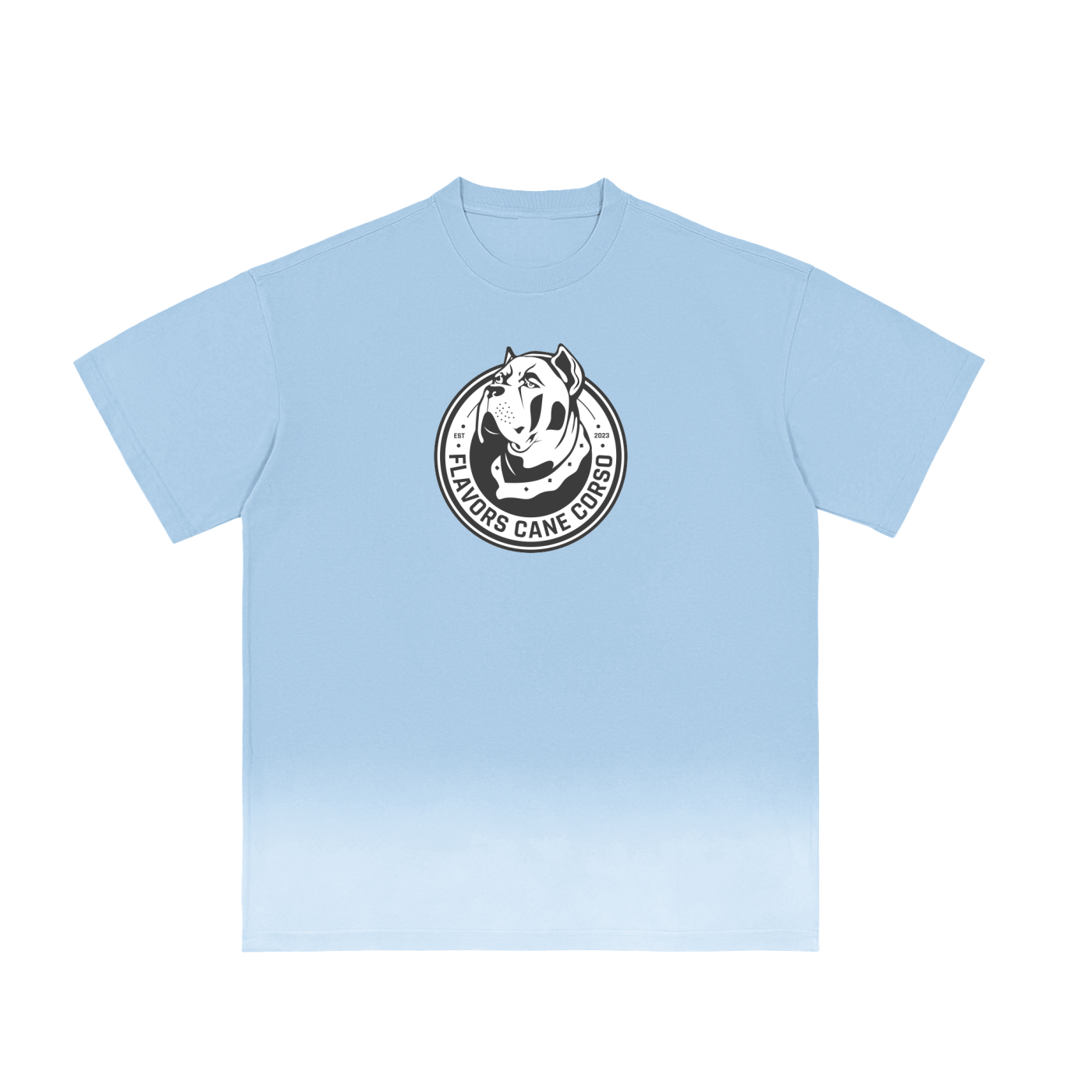 Sunfade Vintage Washed T-Shirt