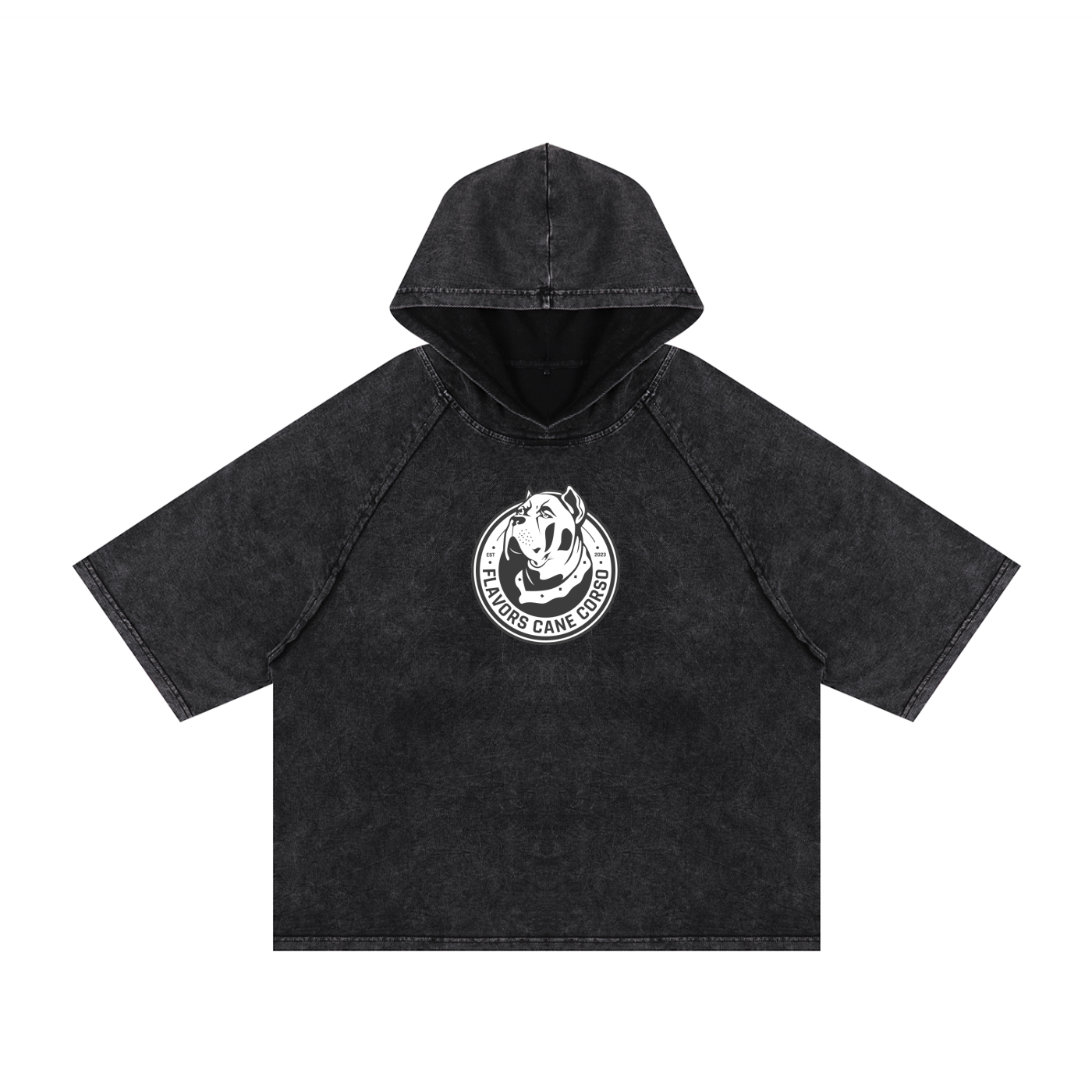 Snow Washed Hooded Boxy T-Shirt