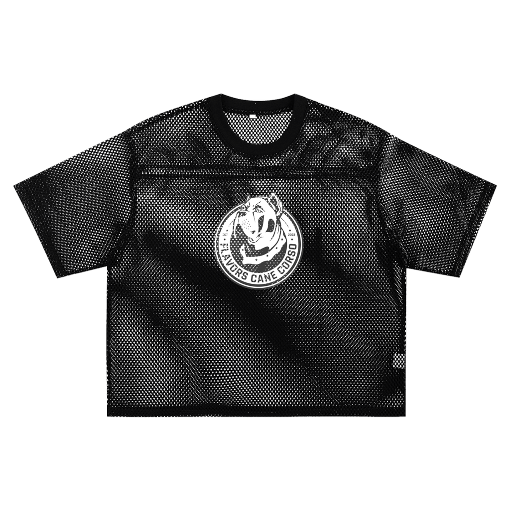 See-through Boxy Net T-Shirt