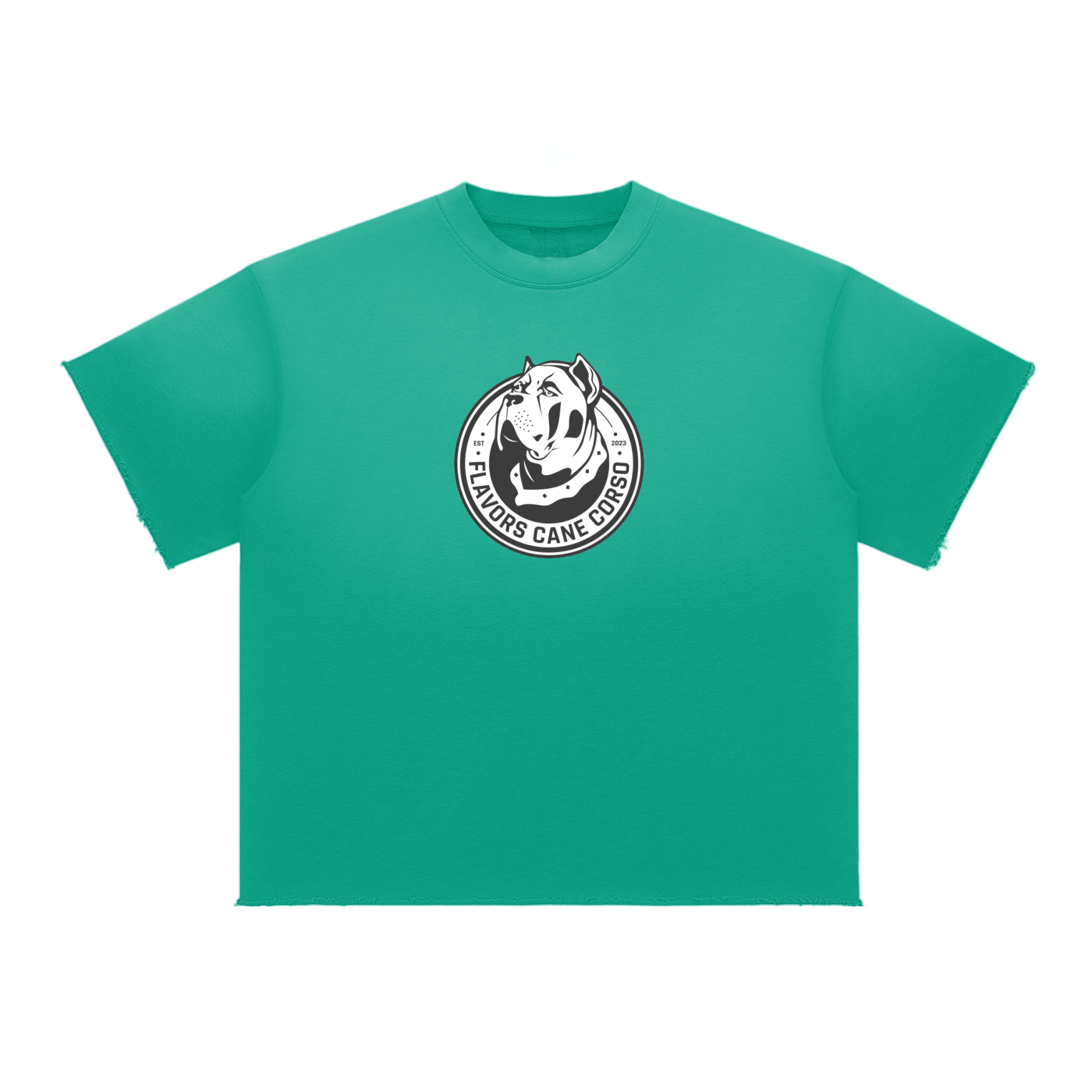 Sun Fade Raw Edge T-Shirt