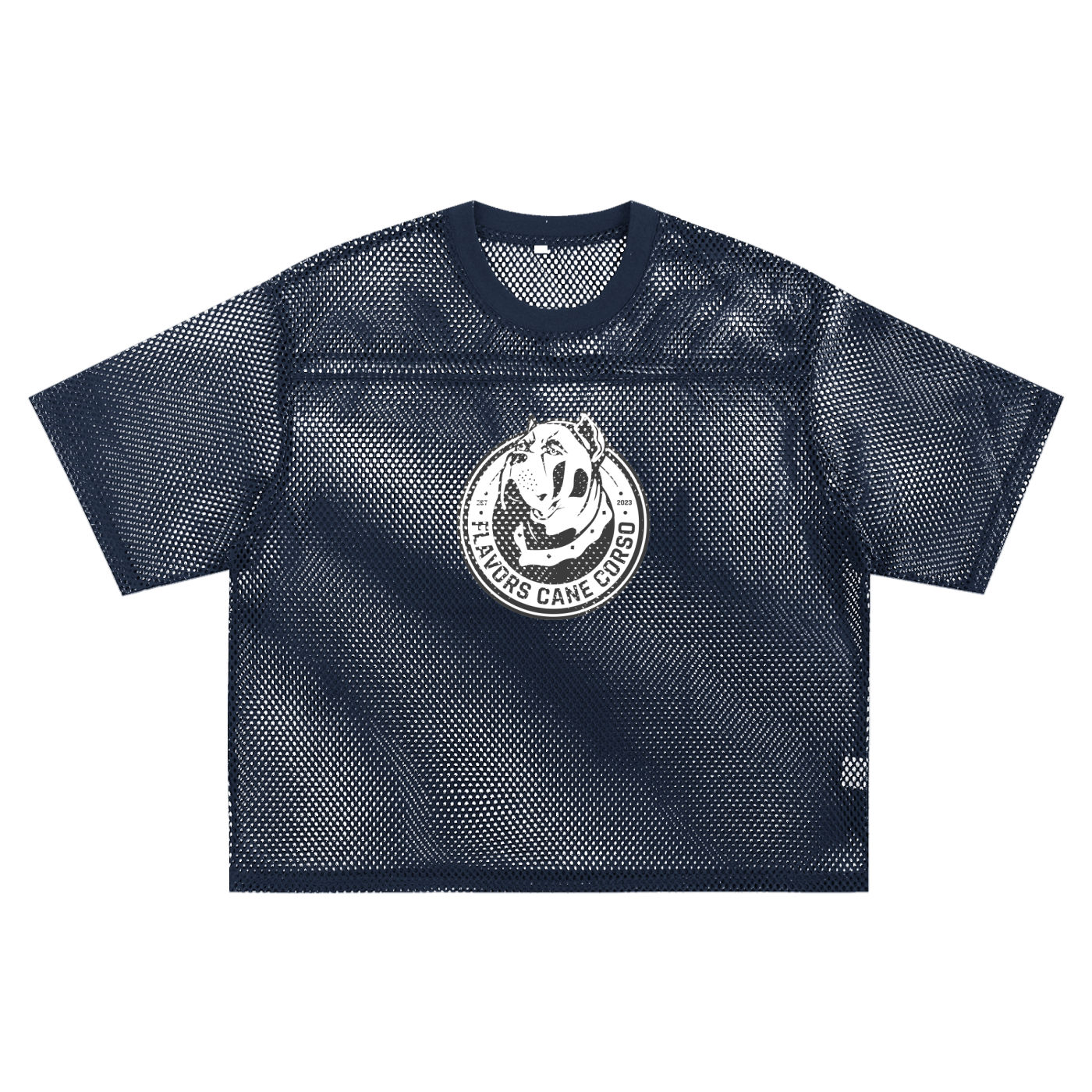 See-through Boxy Net T-Shirt