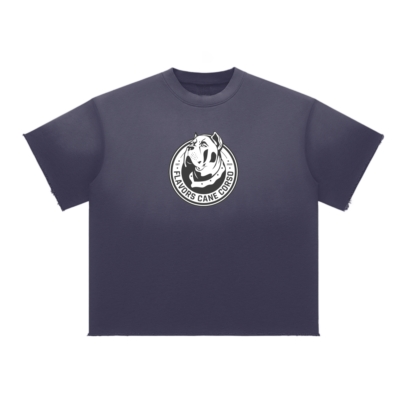 Sun Fade Raw Edge T-Shirt