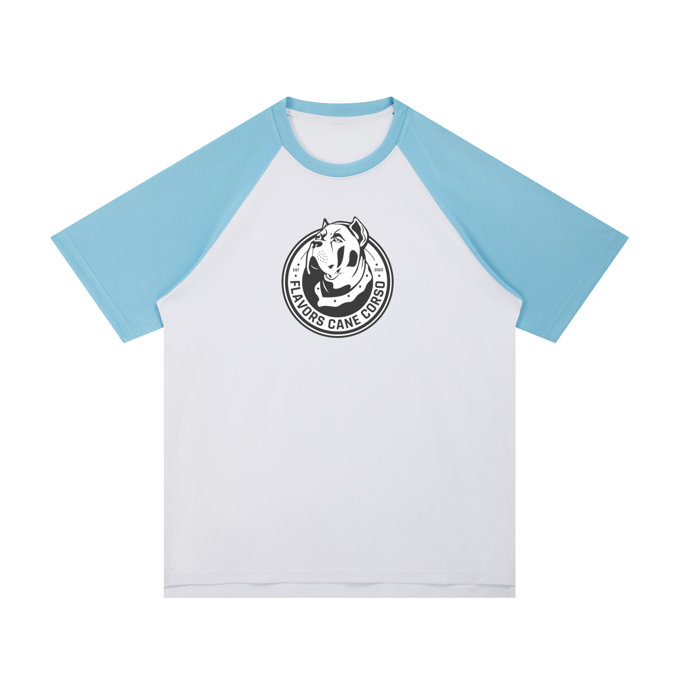 Contrast Raglan Sleeve Mesh T-Shirt