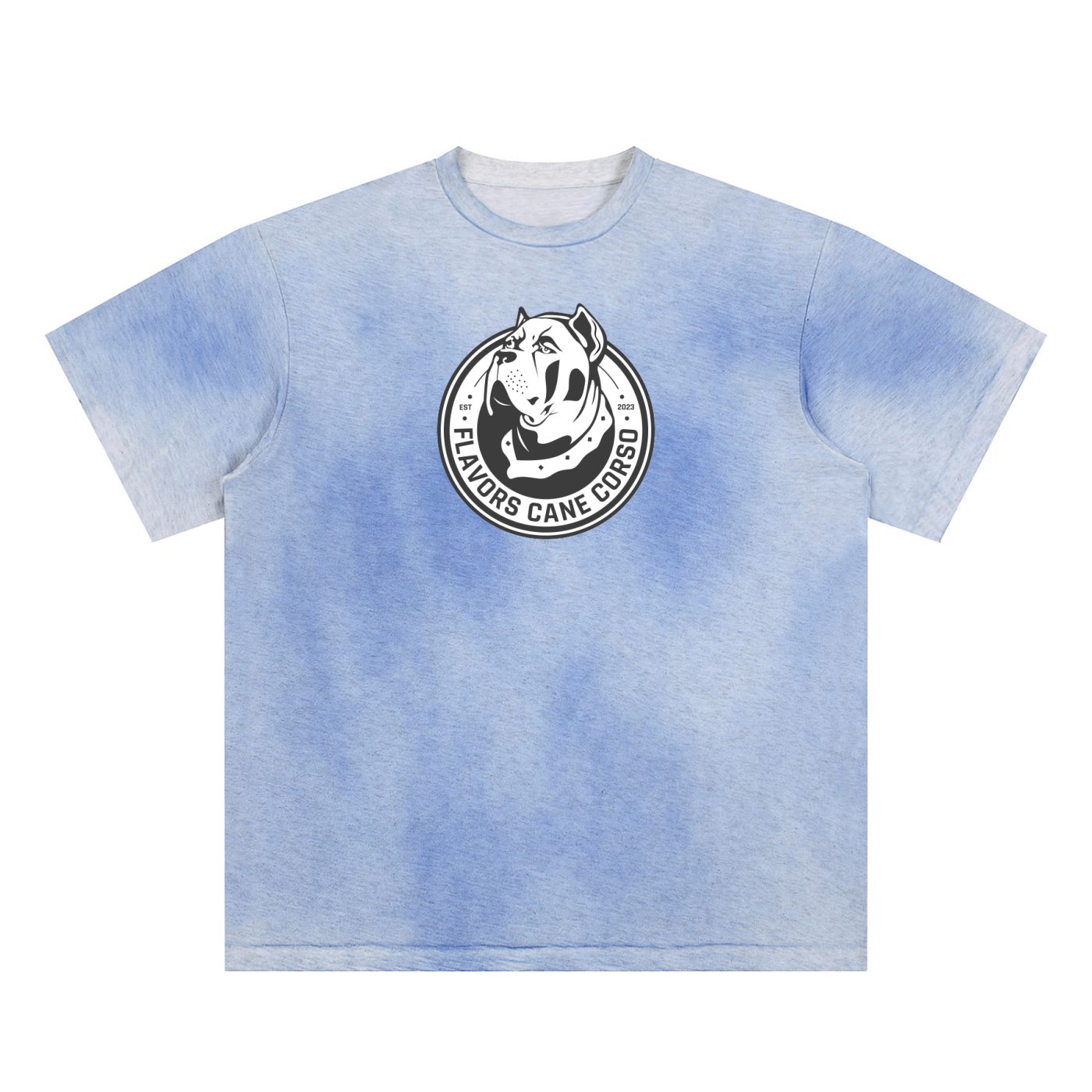 Sun Fade Hand-Painted T-Shirt