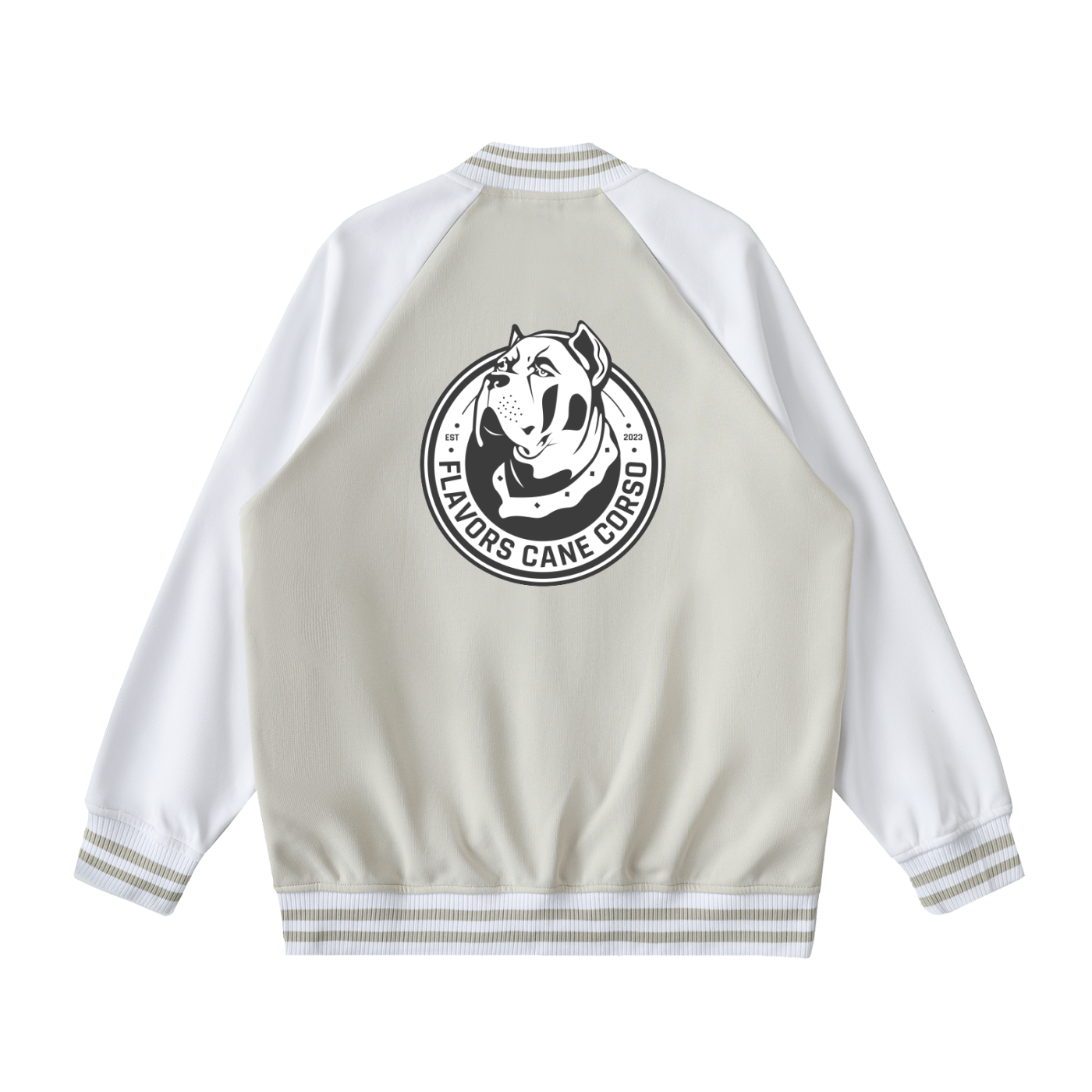 Two Tone Raglan Sleeve Varsity Jacket