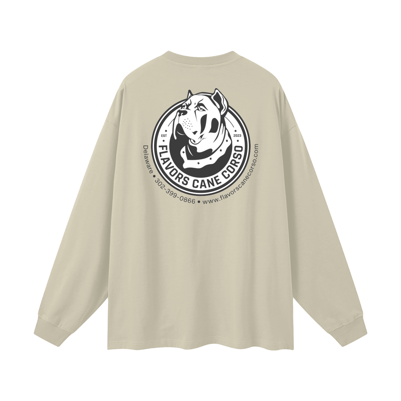 Oversized Unisex Long Sleeve T-Shirt