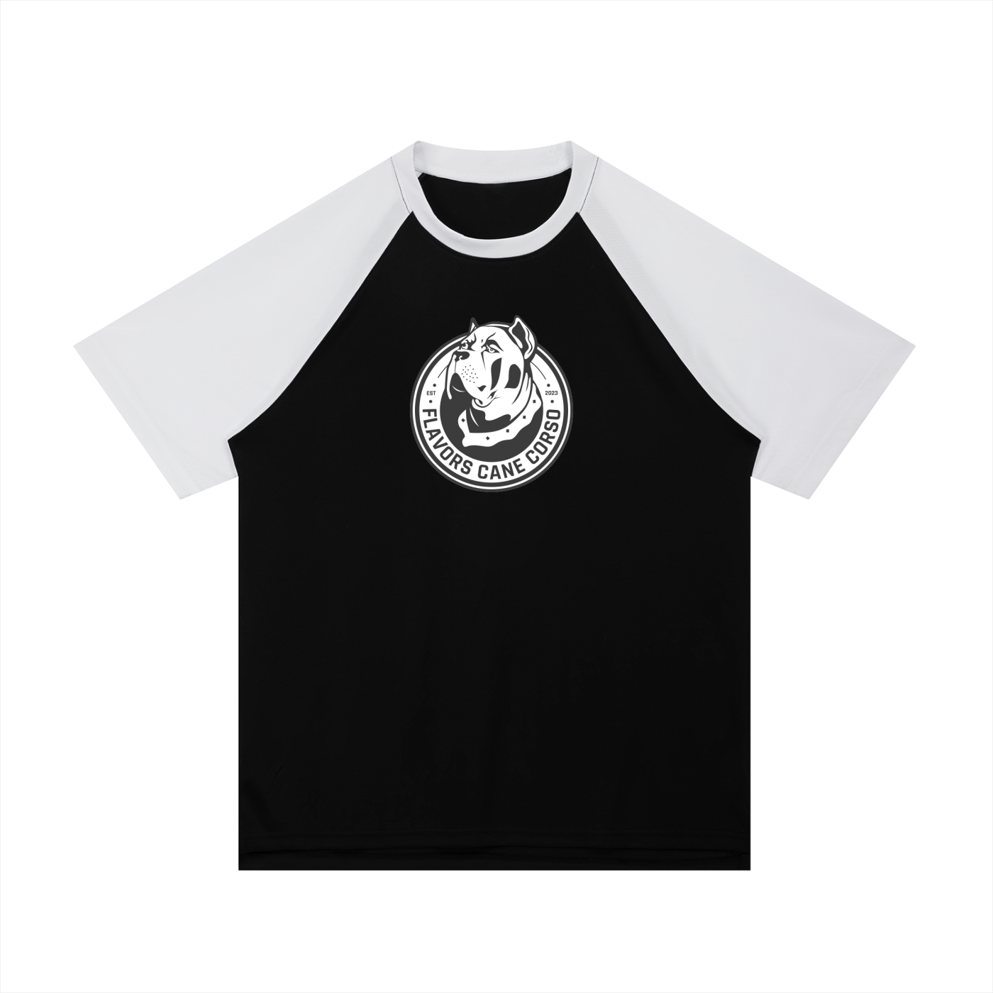 Contrast Raglan Sleeve Mesh T-Shirt