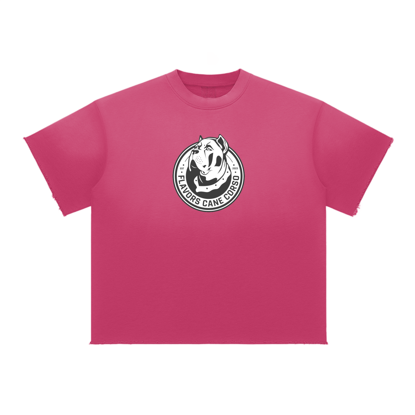 Sun Fade Raw Edge T-Shirt