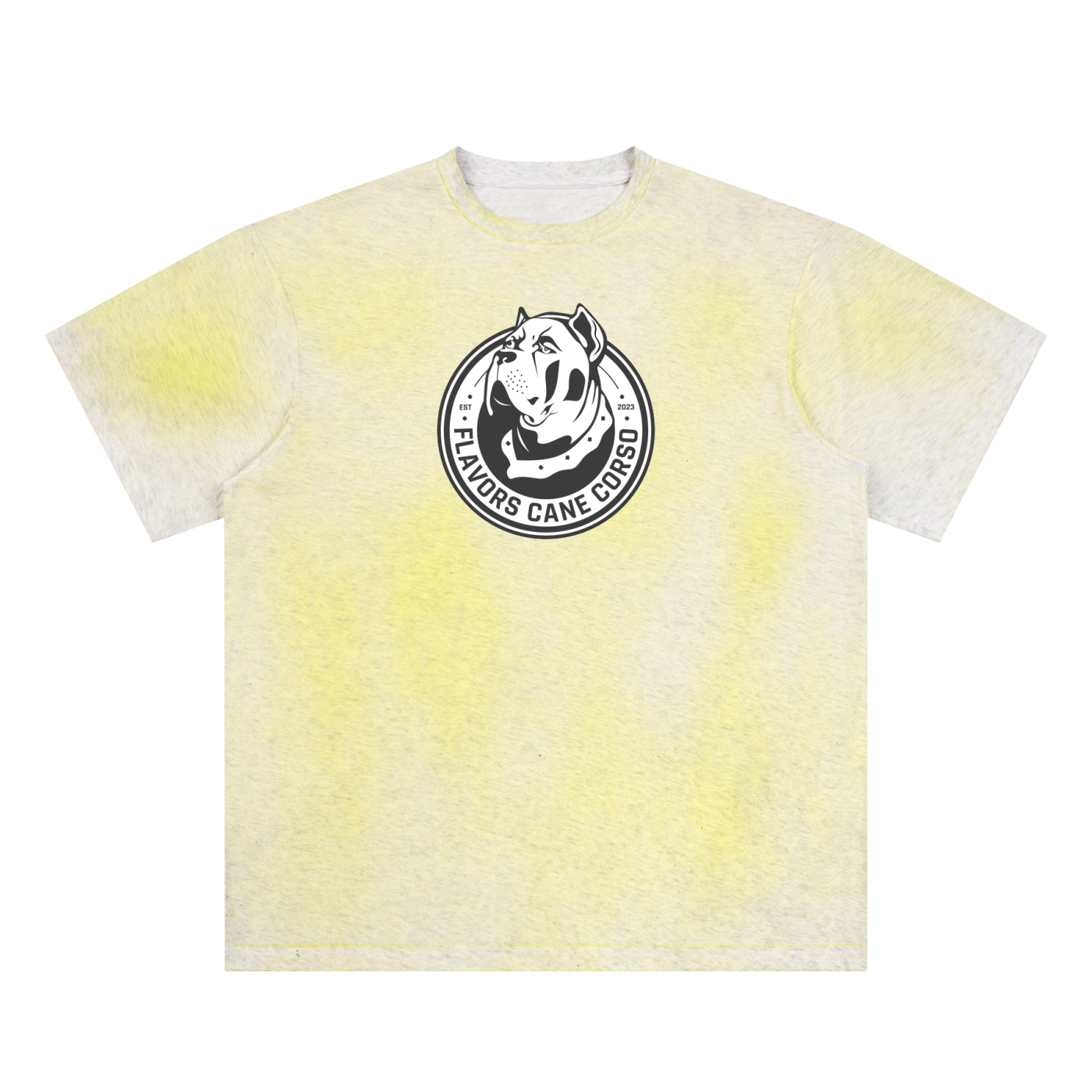 Sun Fade Hand-Painted T-Shirt