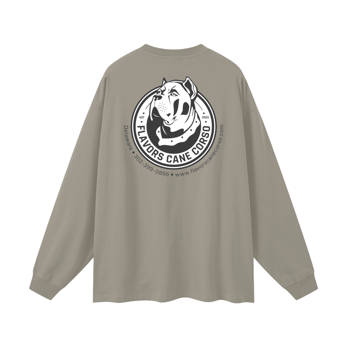 Oversized Unisex Long Sleeve T-Shirt