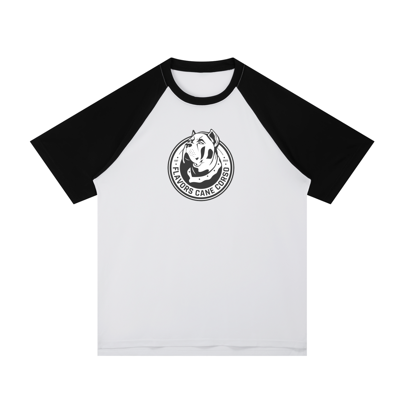 Contrast Raglan Sleeve Mesh T-Shirt