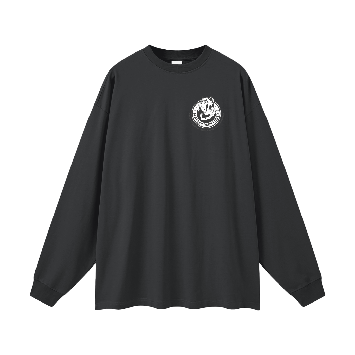 Oversized Unisex Long Sleeve T-Shirt