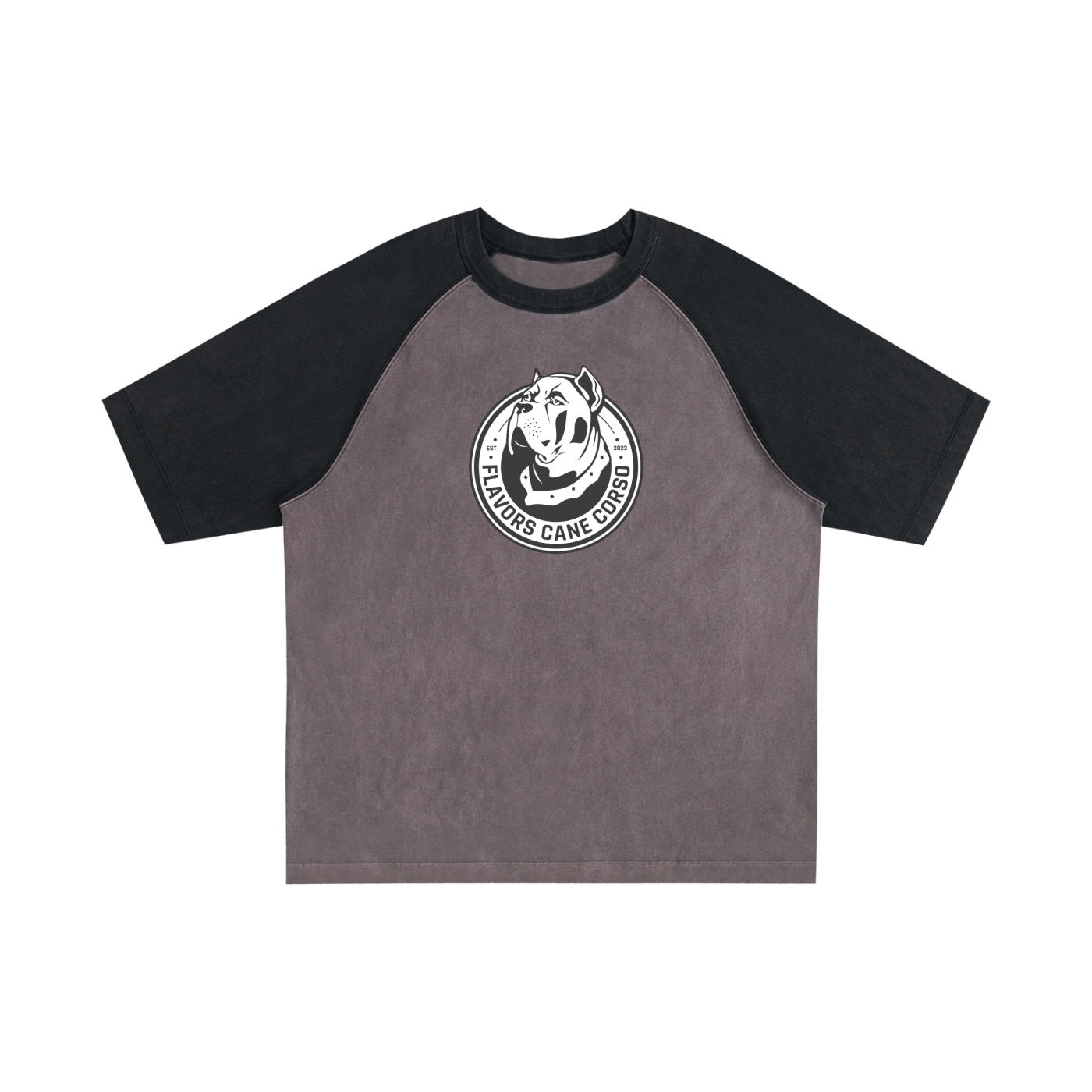 Color-Blocked Raglan Sleeve T-Shirt