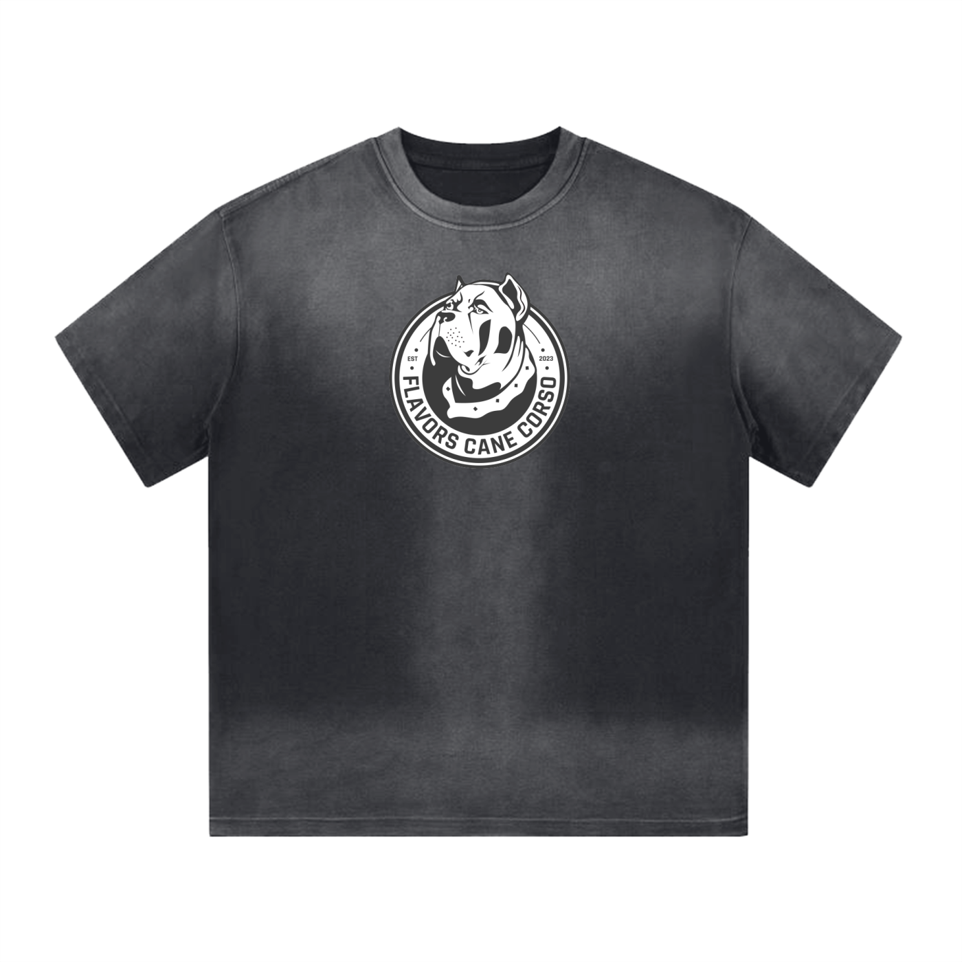 “I” Shape Gradient Washed T-Shirt