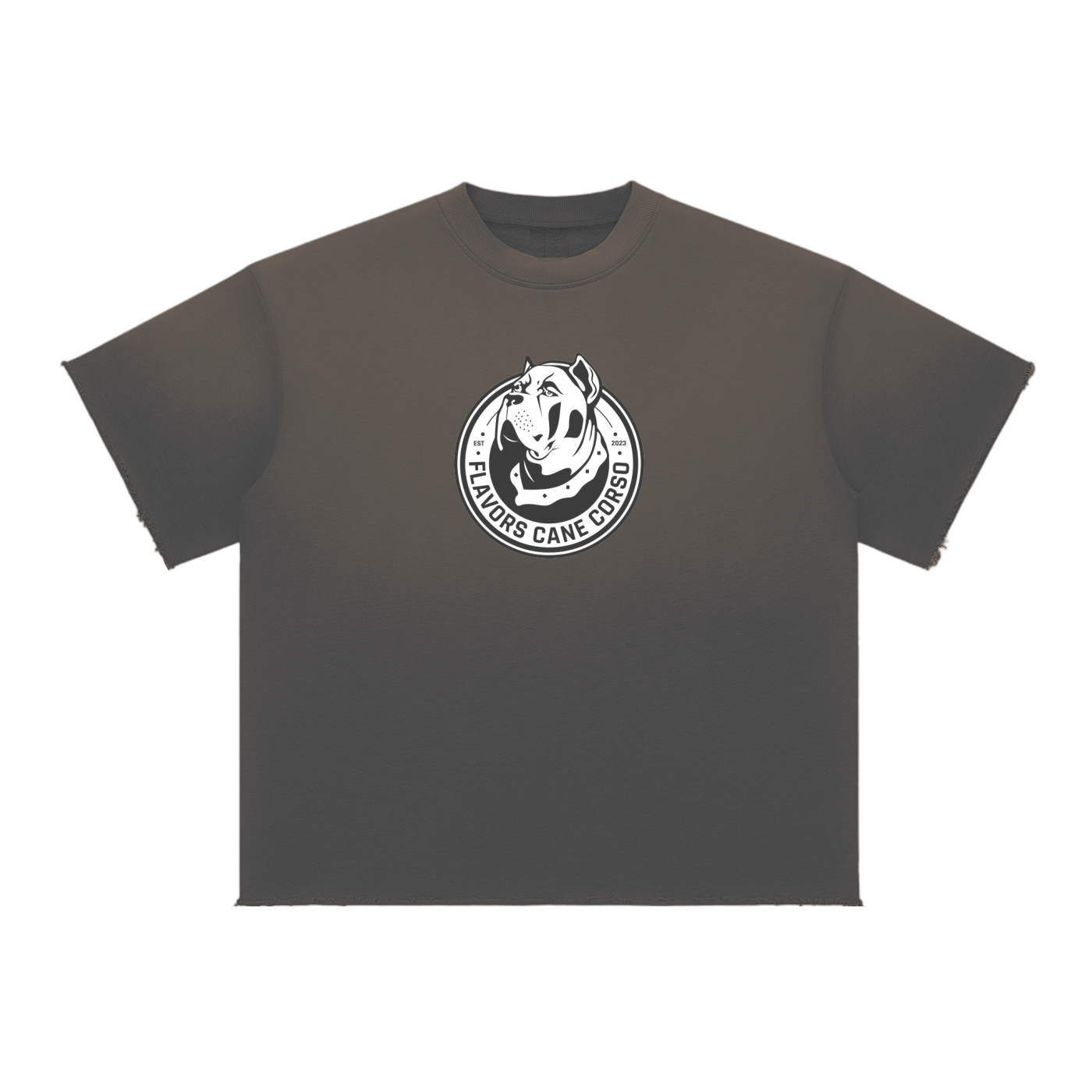 Sun Fade Raw Edge T-Shirt