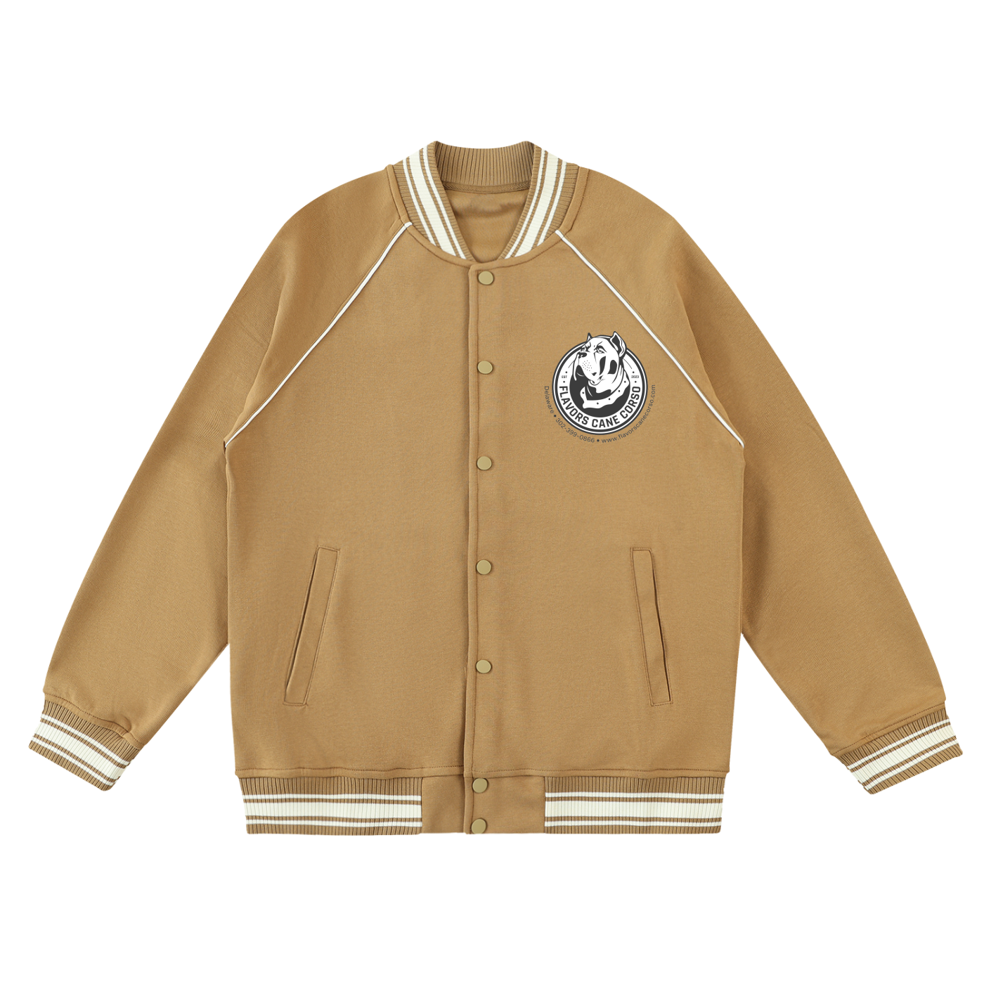 Contrast Trim Raglan Varsity Jacket