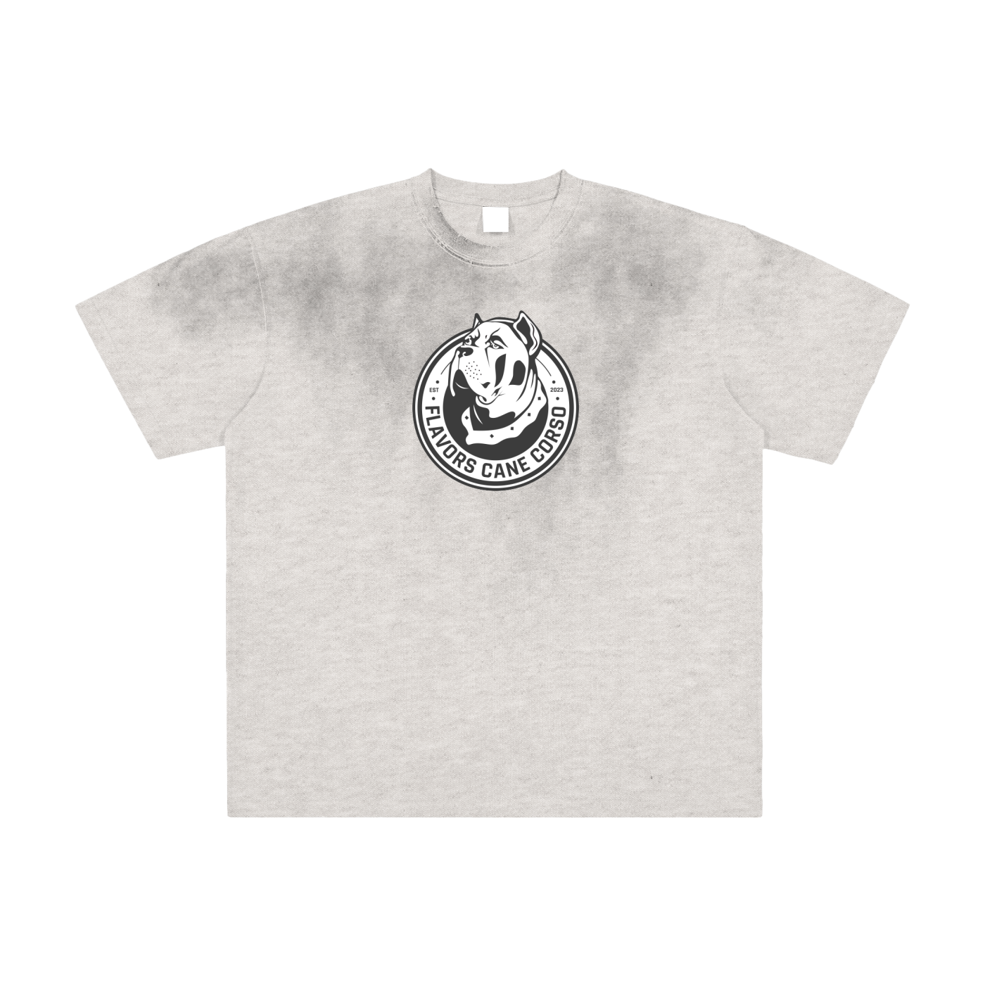 Vintage Washed Frayed T-Shirt