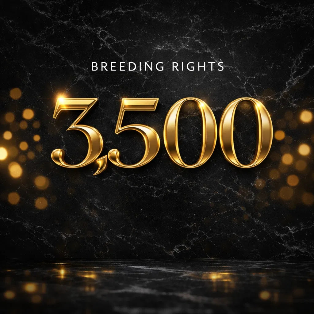 $3500 BREEDING RIGHTS